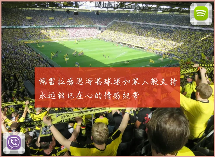 佩雷拉感恩海港球迷如家人般支持永远铭记在心的情感纽带