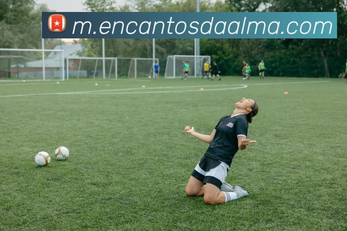 奖项证书